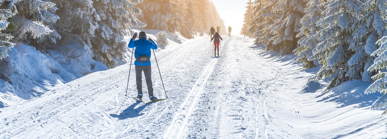 Wintersport; skiën inb de sneeuw tussen bomen